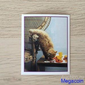 Наклейка для альбома Приключения котят, Precious Kitties, номер 75 1999 (mb-1167)