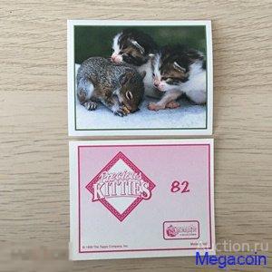 Наклейка для альбома Приключения котят, Precious Kitties, номер 82 1999 (mb-1166)