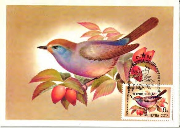 1981 СССР Певчие птицы СССР 5 КМ ПД