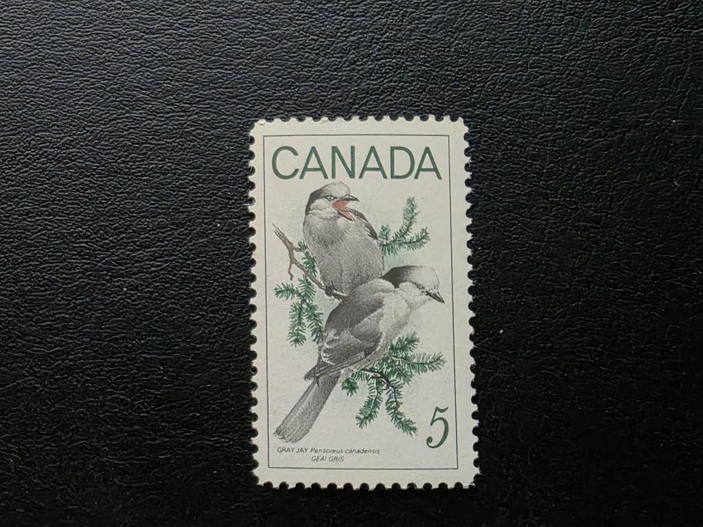 Канада. Лесные птицы. Серые сойки. 1968.**