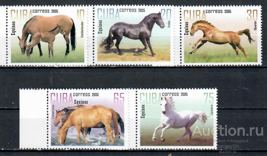 4751 Куба 2005г. Лошади Лошади MNH
