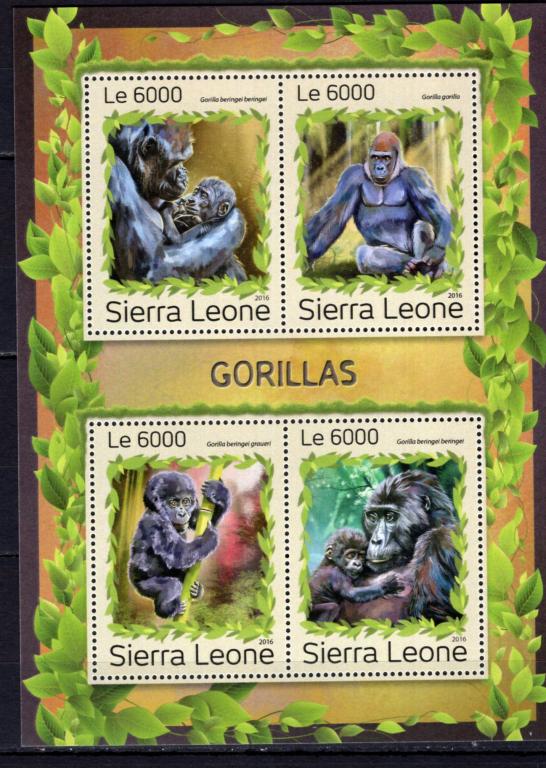 Сьерра-Леоне, 2016г., гориллы (м.лист) **
