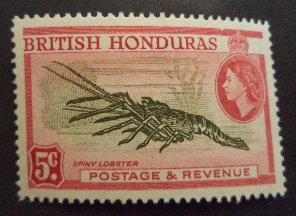 Британский Гондурас 1953 г.  Фауна . Лангуст  5с.  **   Би.10