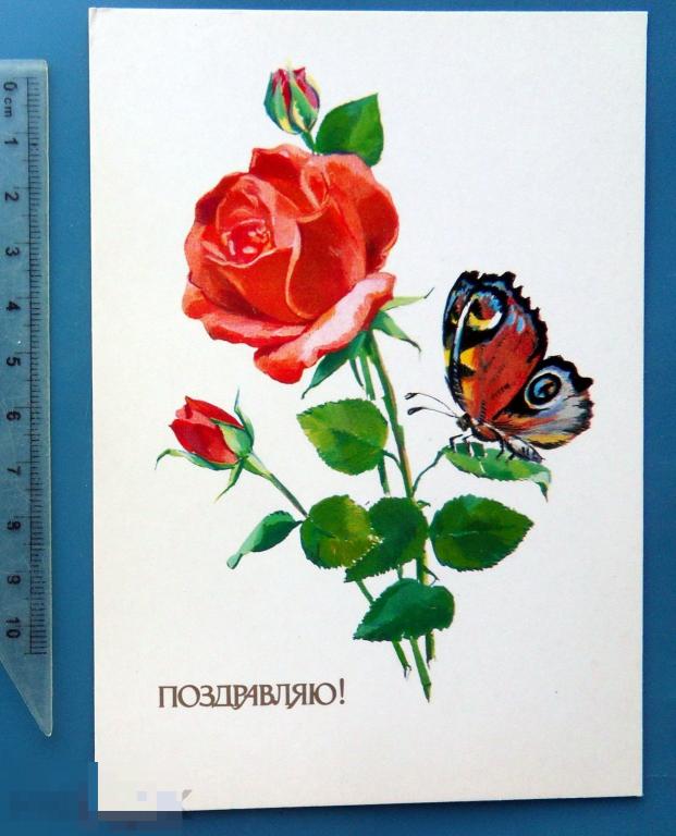 Фирсанова ПОЗДРАВЛЯЮ! 1985 Ф4 (1.8..4..)  чистая БАБОЧКА розы