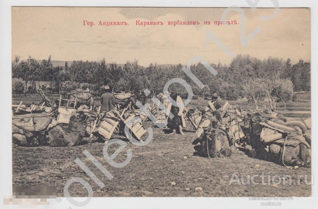 Андижан.Караван верблюдов на привале. Узбекистан.