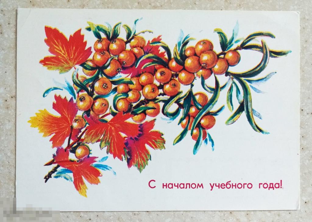 А574 Соколова С началом учебного года! 1982 г. 1 сентября школа ягода Чистая