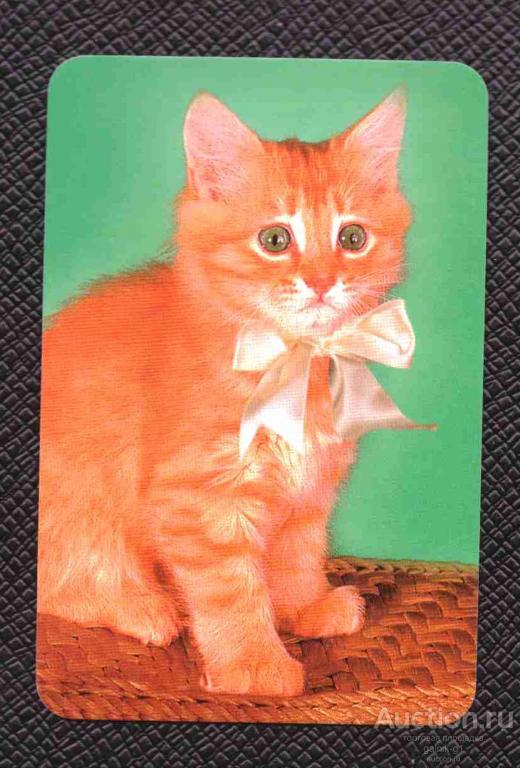 календарик  2004  год     кошка    №   8327