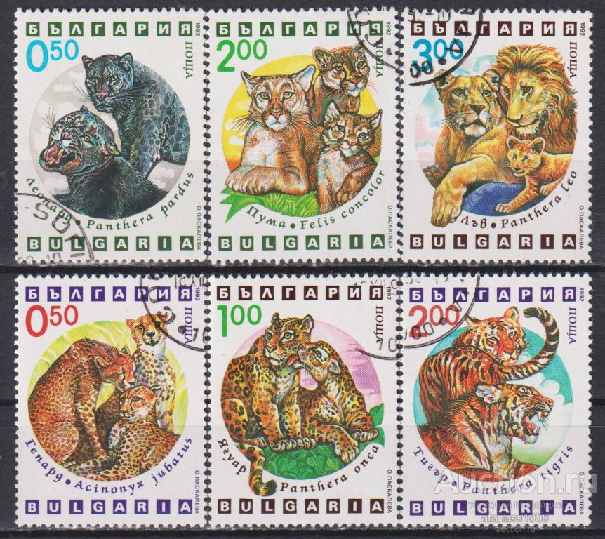 Болгария Гашеные марки Фауна Экзотические Хищники Большие дикие Кошки 1992