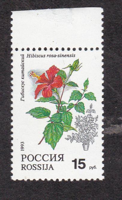 Россия 1993 Флора Комнатные растения (6706)