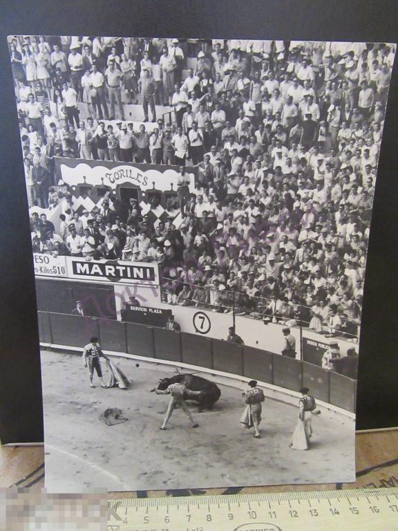 Коррида Испания / RF-40