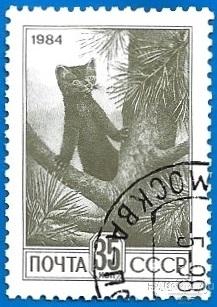 1984 СССР 5548 (Z 5480) Соболь. Стандарт (1/4) Гаш.