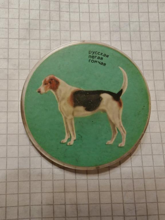 Фауна Собака Русская пегая гончая