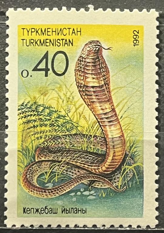 Почтовая марка Туркмения 🇹🇲