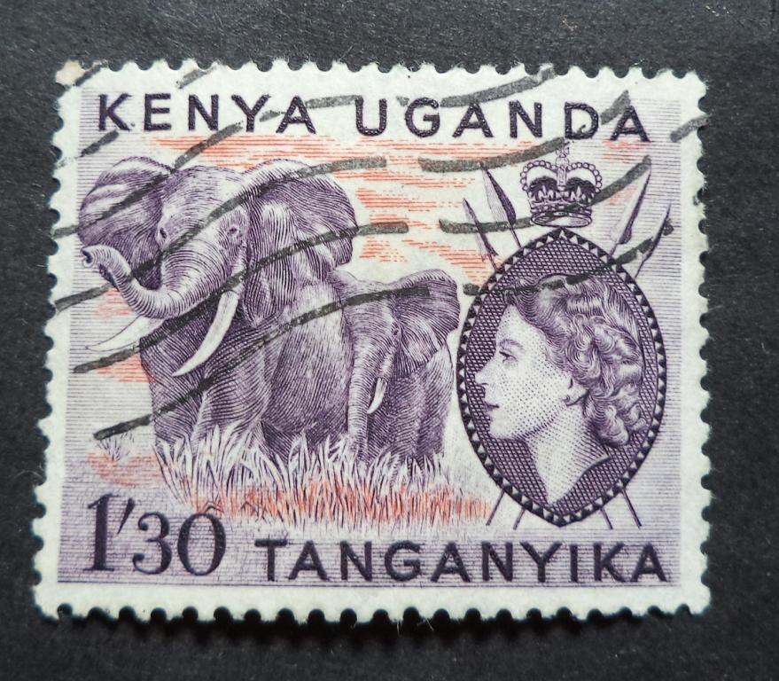 Кения Уганда Танганьика , КУТ  1954 г.   Слон  1,3sh.  гаш.   Би.12