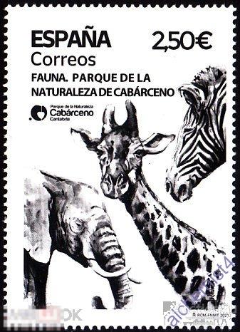 Испания 2021 ** Природный парк Кабарсено, Слон, Жираф, Зебра