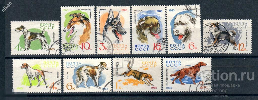 СССР 1965 ФАУНА ОХОТНИЧЬИ СОБАКИ ПОРОДЫ 53-2-102
