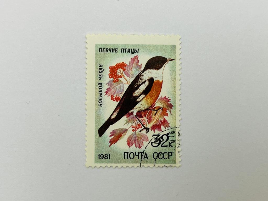Певчие птицы. Большой чекан. Фауна. СССР. 1981. Загорский: 5157. Гашен