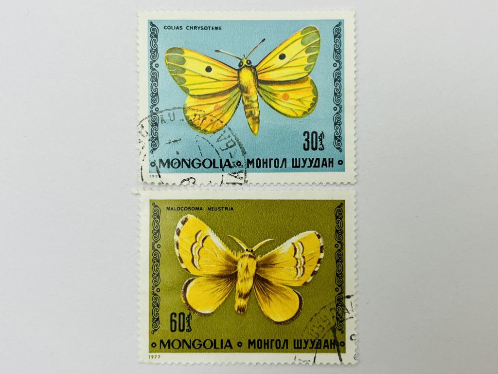 Бабочки: Желтушка золотистая. Коконопряд обыкновенный. Монголия. 1977. Михель: MN 1101,1103. Гаш