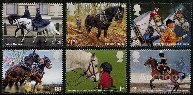 Великобритания 2014 ** лошади, Конный спорт (верховая езда)