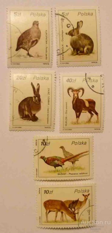 24.35  МАРКИ ПОЛЬША ДИКИЕ ЖИВОТНЫЕ 1986 г