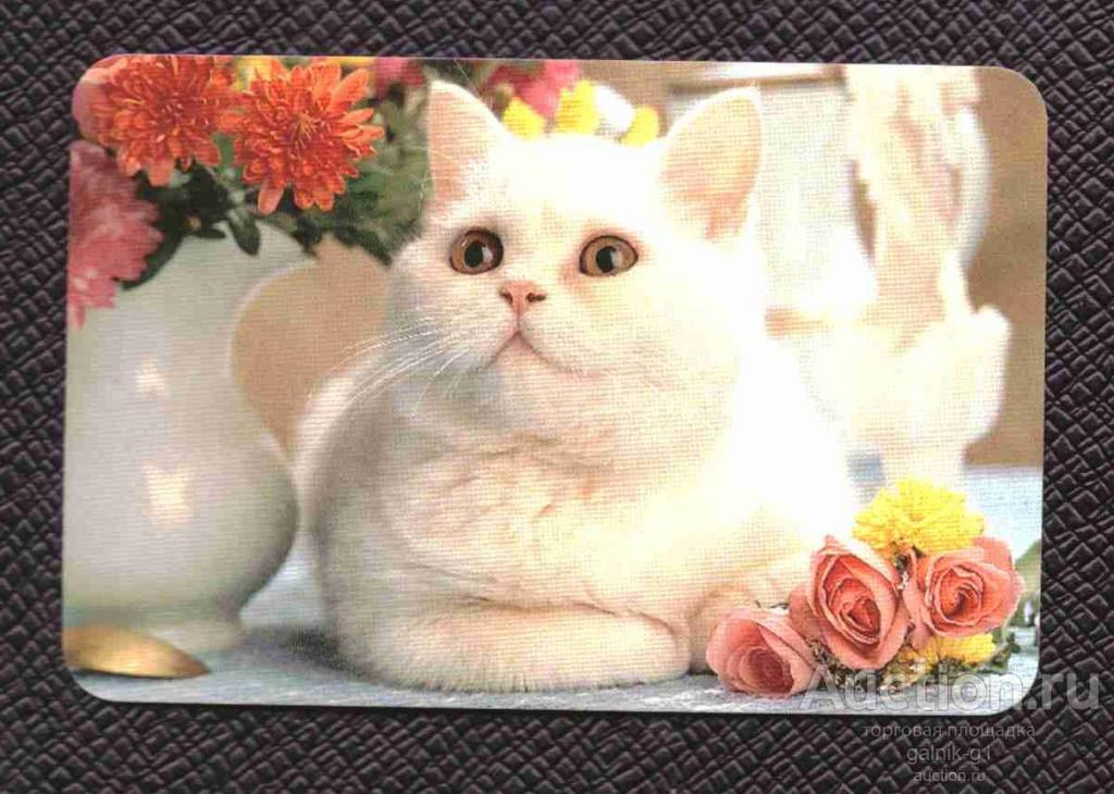 календарик  2004  год     кошка    №   8430