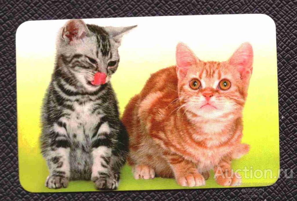 календарик  2004  год     кошка    №   8431