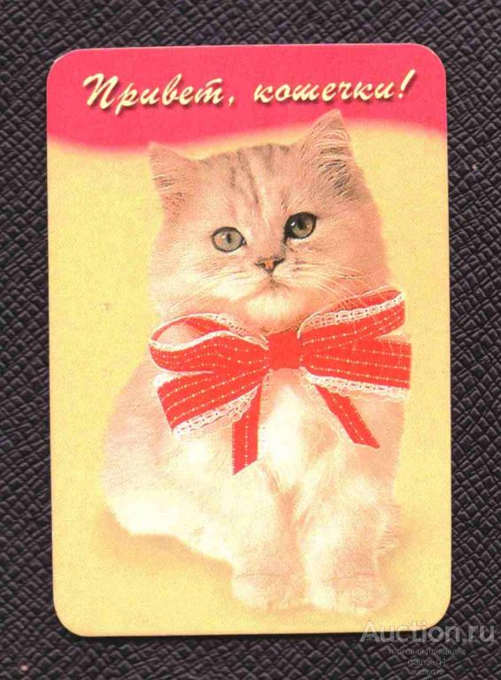 календарик  2002  год     кошка    №   8428