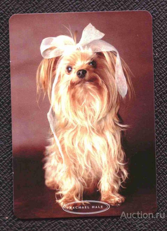 календарик  2004  год     собака    №   8435