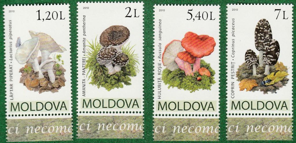 Молдова 2010 Mi №694-97 ФЛОРА ГРИБЫ MNH
