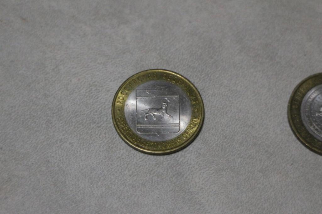 Еврейская АО. СПМД. Монета 10 рублей. 2009 год. Регионы. Биметалл. С оборота