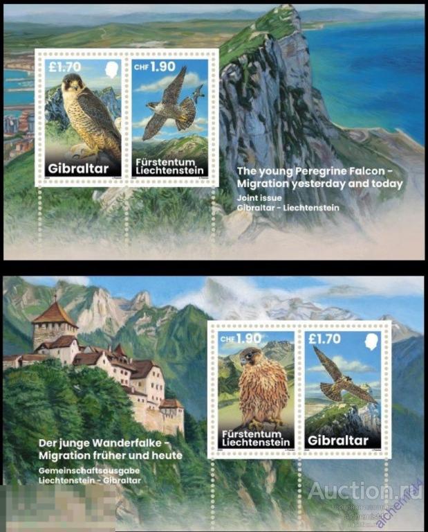 Лихтенштейн 2025 ** Гибралтар, Птицы, Сапсаны, 2 блока