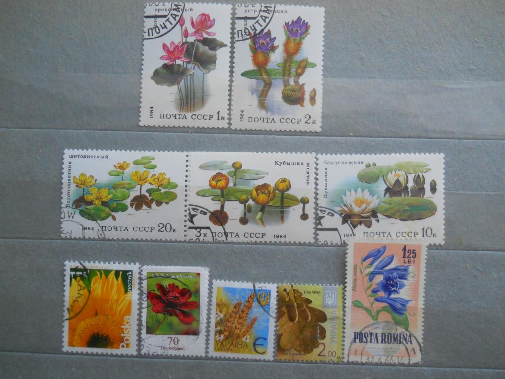 Цветы  -    марки гаш СССР ,  Польши, Германии, Украины