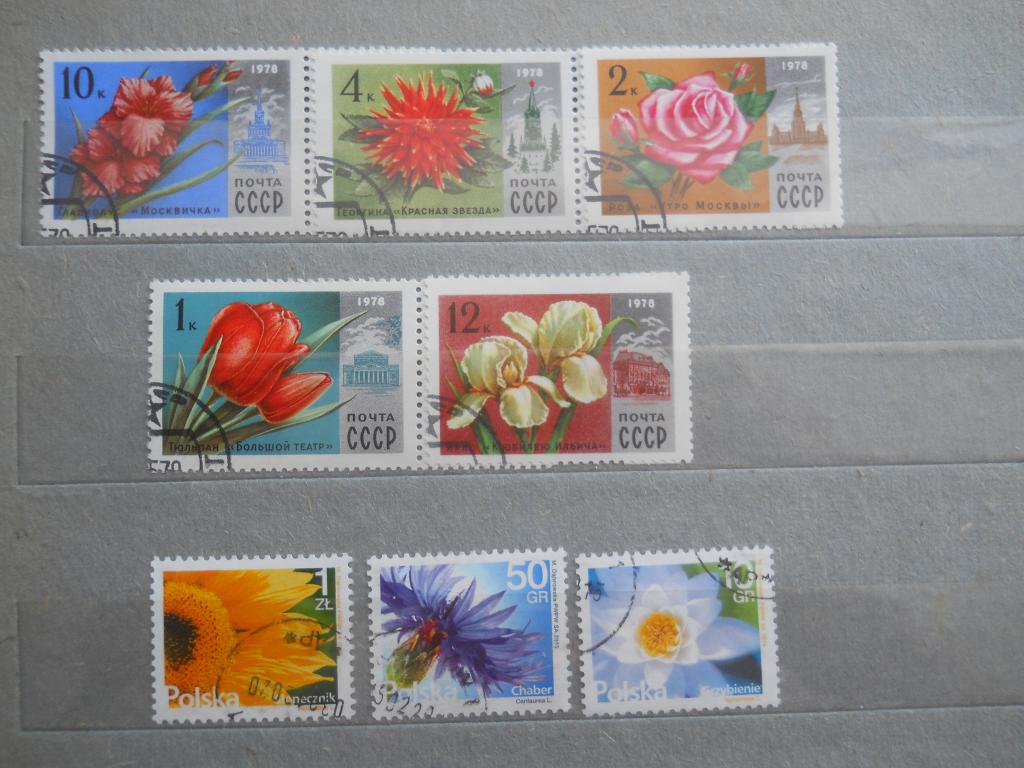 Цветы -    марки , гаш    СССР, Польша