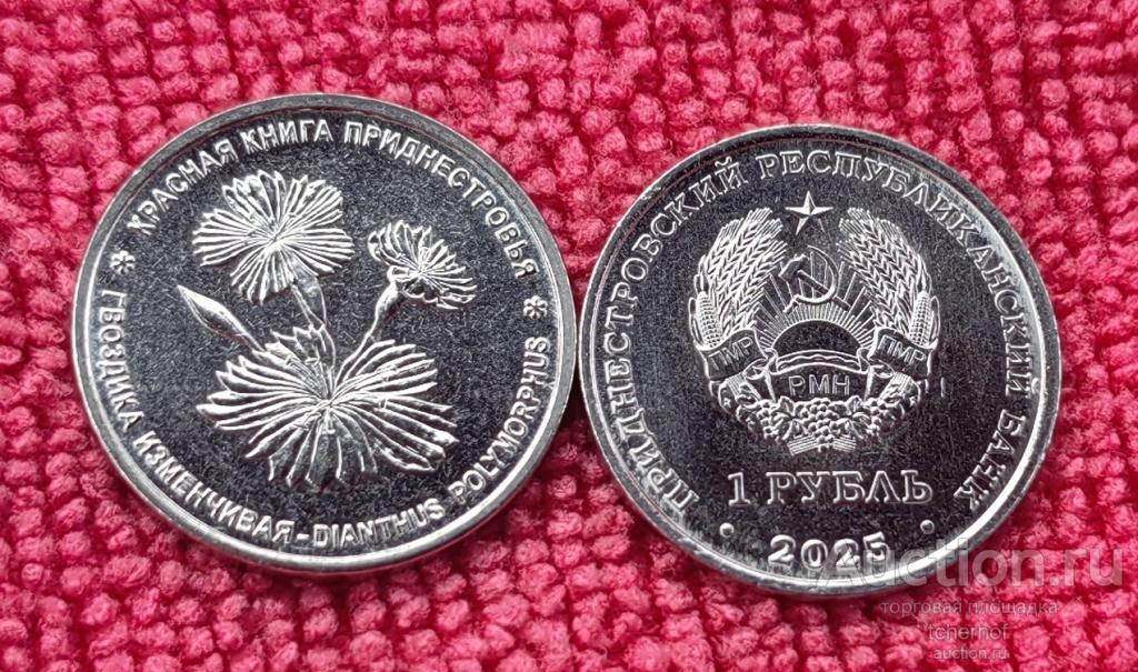 1 рубль 2025 Приднестровье Гвоздика Изменчивая ПМР! UNC! Супер!