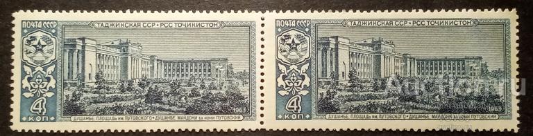 СССР 1963 г. Сол. № 2962** Таджикская ССР. Пара.