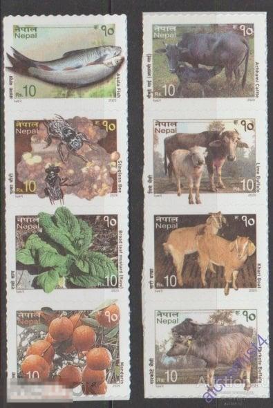 Непал 2025 ** Генетические сельскохозяйственные ресурсы, козы, рыбы, коровы, пчелы, фрукты