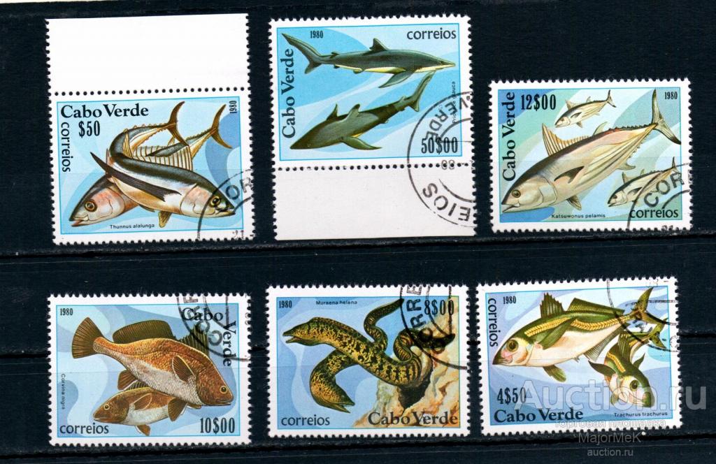 Кабо Верде 1980 Рыбы  Серия гаш