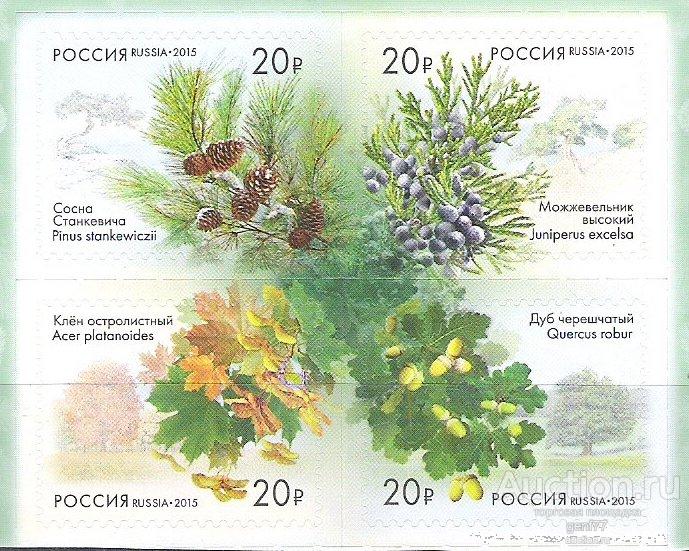 РОССИЯ  2015 Флора  Аллея России  Шишки Ягоды Сцепка    Сост**   MNH