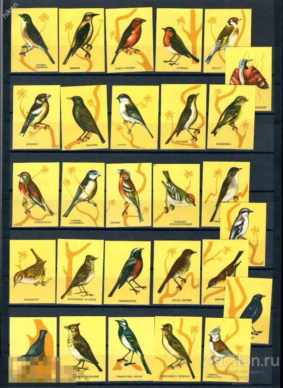 СПИЧЕЧНЫЕ ЭТИКЕТКИ СССР ФАУНА ЛЕСНЫЕ ПЕВЧИЕ ПТИЦЫ  67-5-86