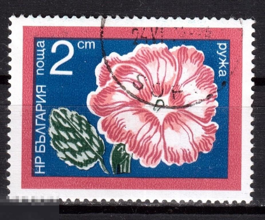 Марки Болгарии: "Садовые цветы", 1974 год, ГАШ (аф+кн)