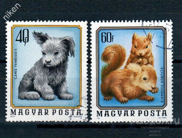 ВЕНГРИЯ 1976 ФАУНА СОБАКИ ЩЕНОК БЕЛКИ БЕЛЬЧАТА 64-230