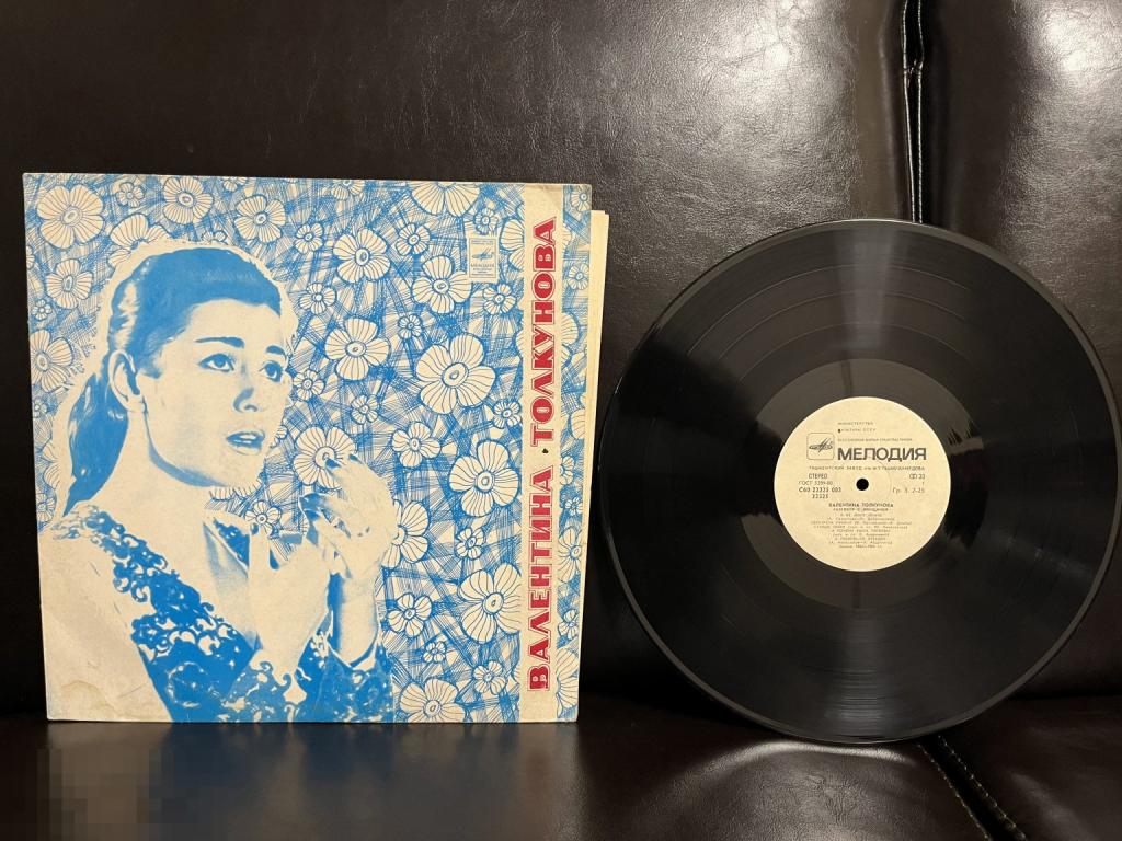 ВАЛЕНТИНА ТОЛКУНОВА Разговор с женщиной - ТЗГ