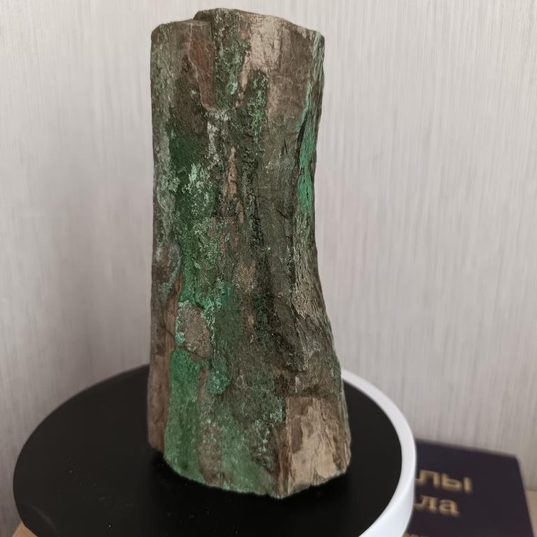 Окаменелое дерево с малахитом, горным хрусталем.№ 282