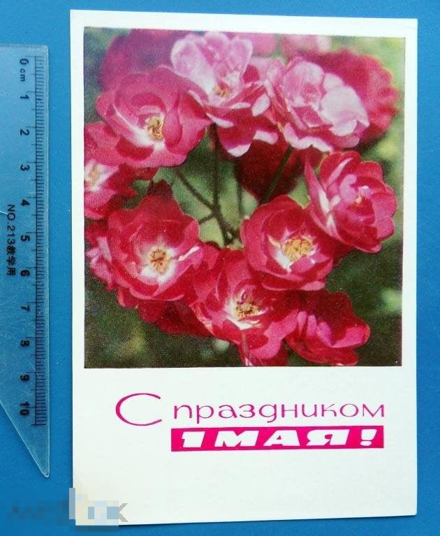 Дергилева 1 МАЯ 1969 ДМПК Щ1 чистая ЦВЕТЫ