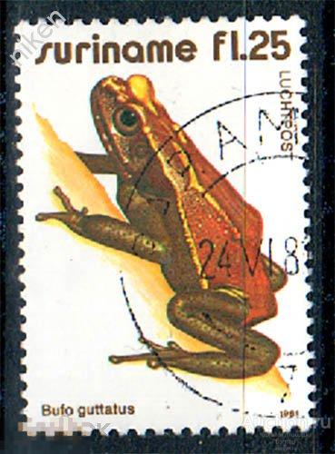 СУРИНАМ 1981 АВИАПОЧТА ФАУНА ЛЯГУШКИ ГЛАДКОБОКАЯ ЖАБА ГАШЕНИЕ ПАРАМАРИБО 70-4-146