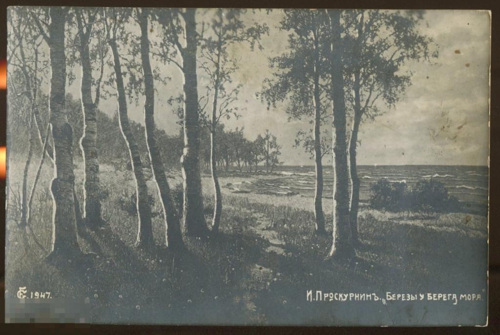 живопись Проскурнин березы у берега моря
