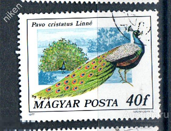 ВЕНГРИЯ 1977 ФАУНА ПТИЦЫ ПАВЛИН 70-1-258