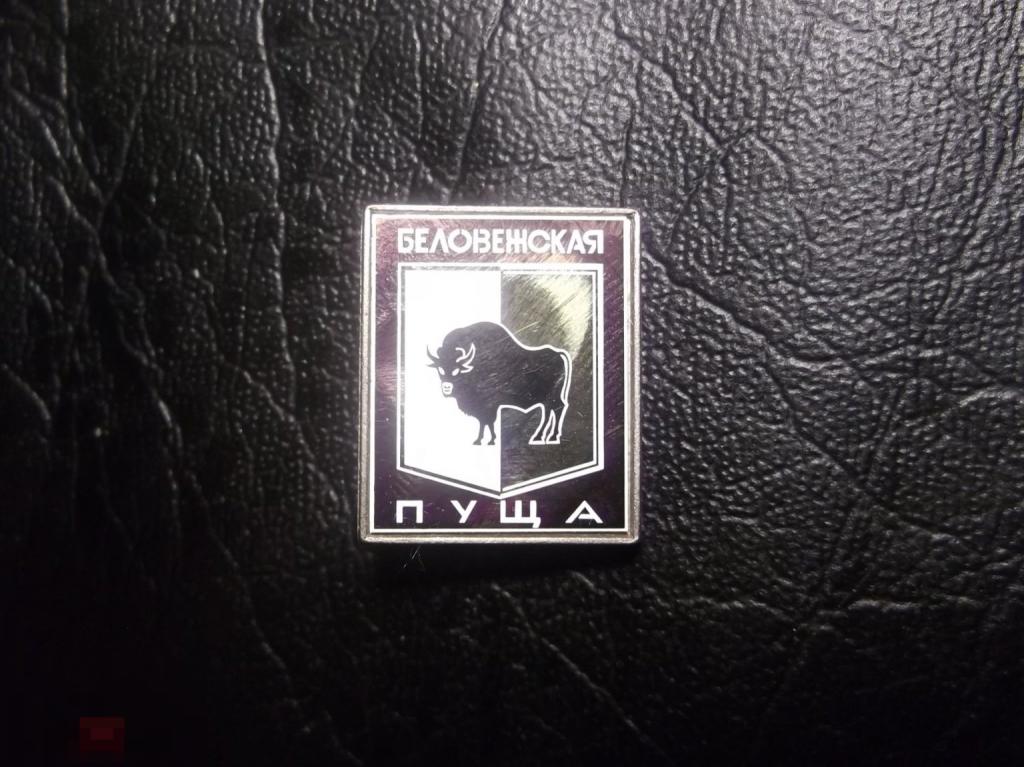 Беловежская пуща Зубр Заповедник Белоруссия ситалл. Фауна. Путешествия Туризм. Ситалл.