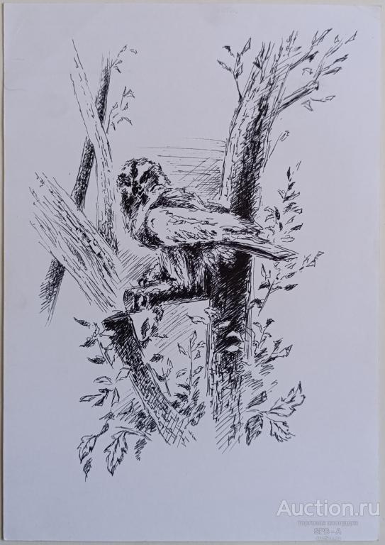"Сова" бумага тушь Чумак С.М. 2012 год