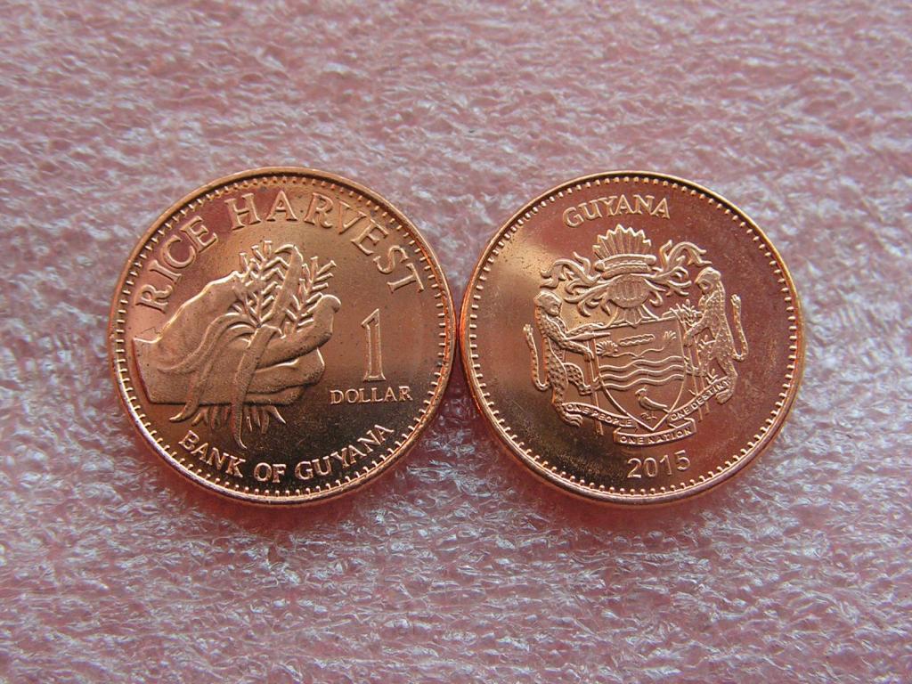 Гайана 1 доллар 2015 unc